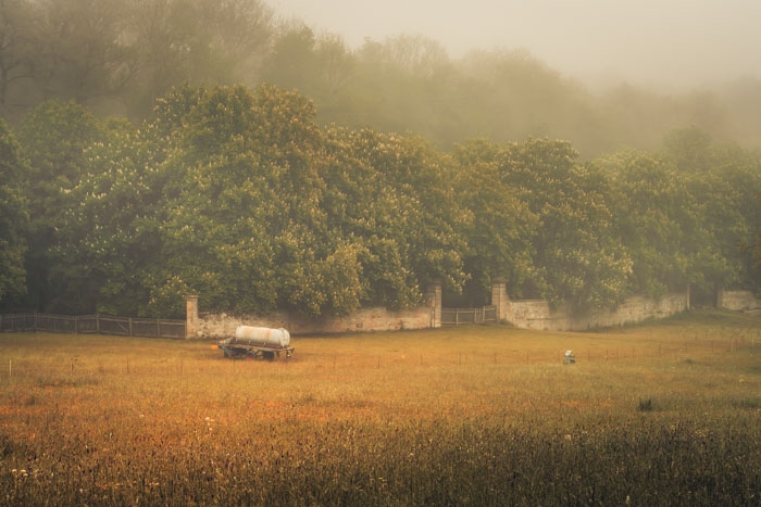 Morgendliche Herbststimmung im Park Wilhelmsthal