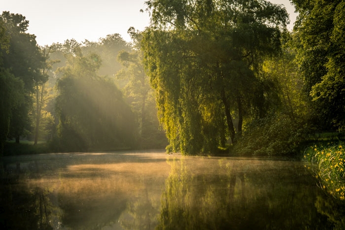 Blick über den Teich im Park Wilhelmsthal