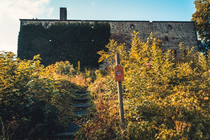 Ansicht der Burgruine Grebenstein