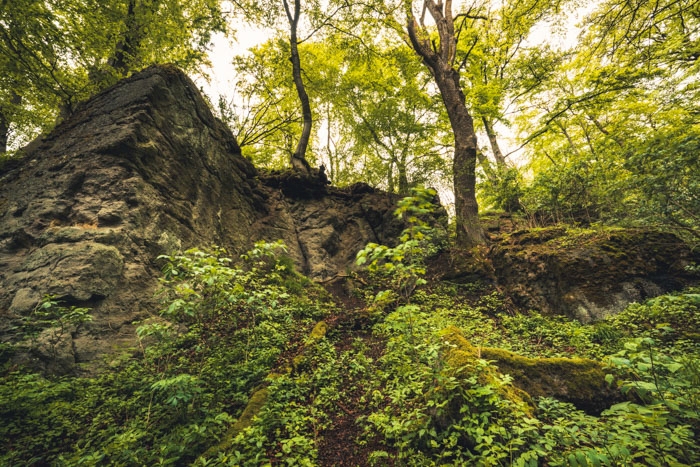 Felsen der Teufelsmauer