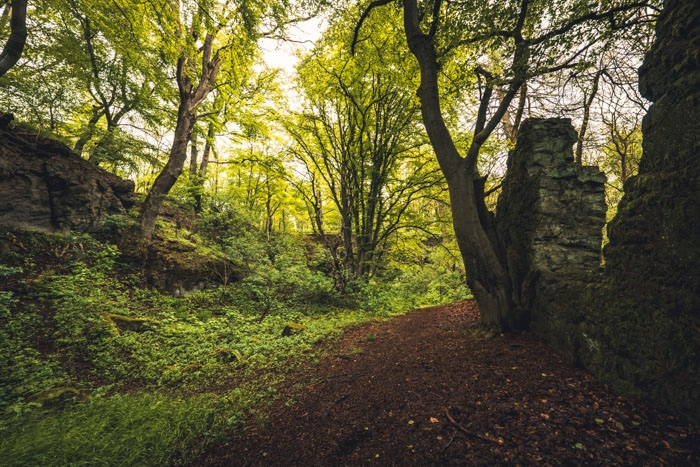 Der Weg durch die Teufelsmauer