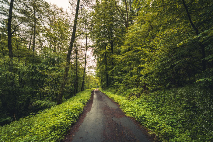 Habichtswald im Mai 2021