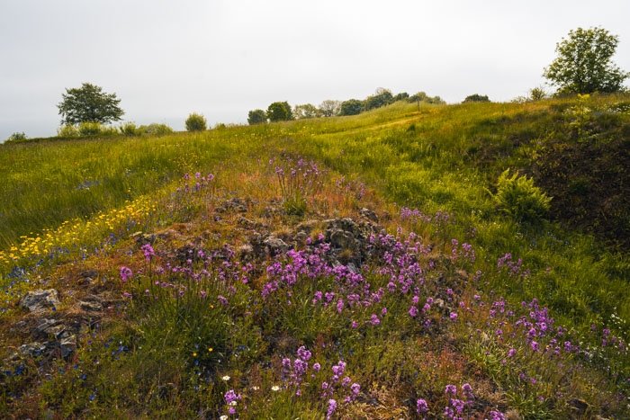 Idylle auf dem Burghasunger Berg