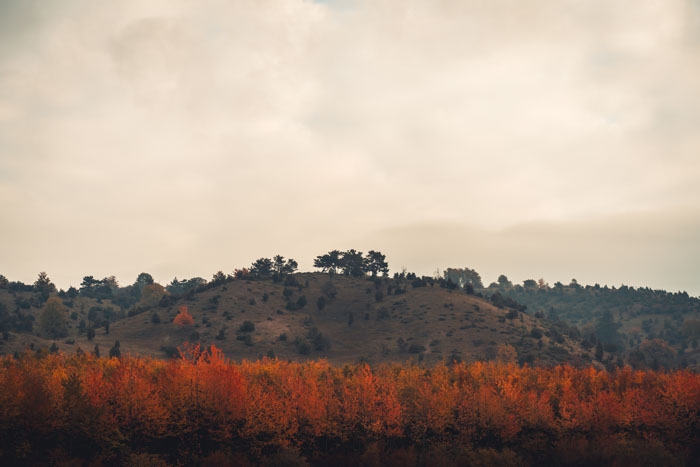 Herbstlandschaft am Dörnberg im Naturpark Habichtswald