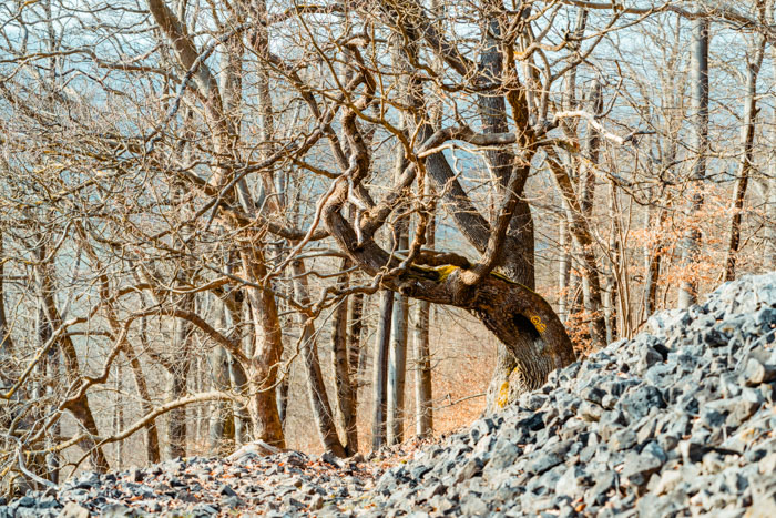 Naturdenkmal die Blauen Steine