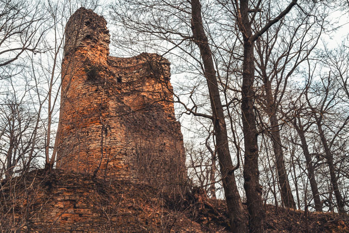 Burgruine Schartenberg im Frühlingswald