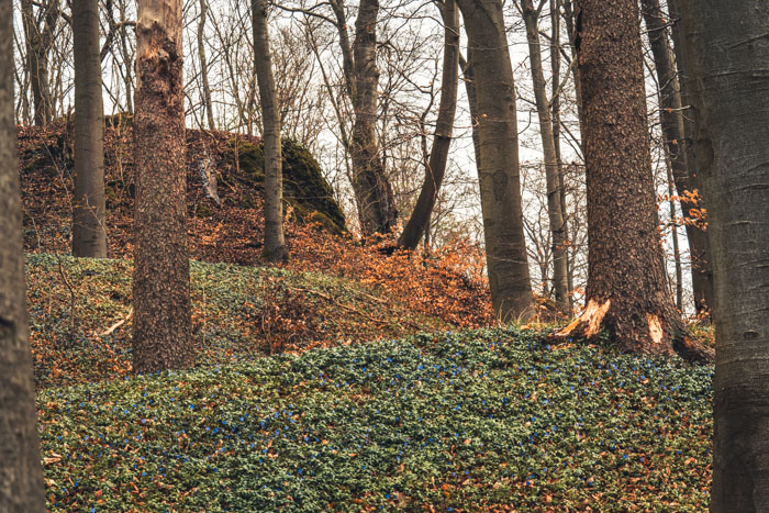 Hier stand einst eine kleine Palisadenburg