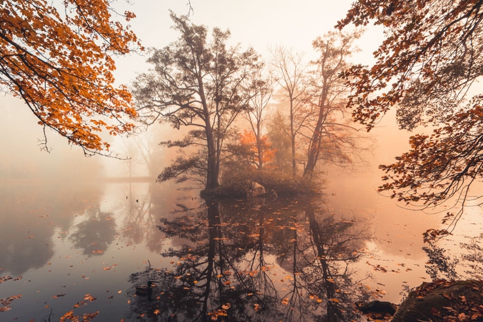 Bäume auf der Insel im Lac im Bergpark Wilhelmshöhe im Herbst