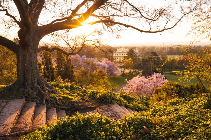 Blick auf die Orangerie im Frühling