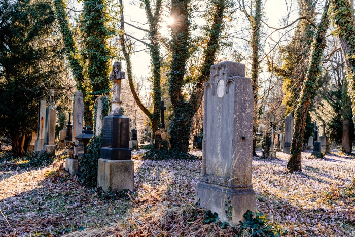 Ende Februar auf dem Alten Südfriedhof