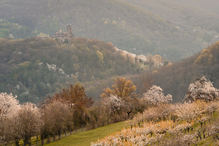 Blick auf Burg Ludwigstein