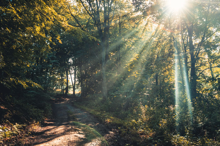 Lichtstrahlen auf dem Weg durch die Termenei