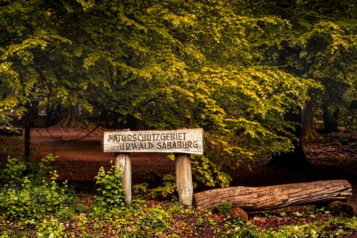 Der Eingang zum Urwald Sababurg