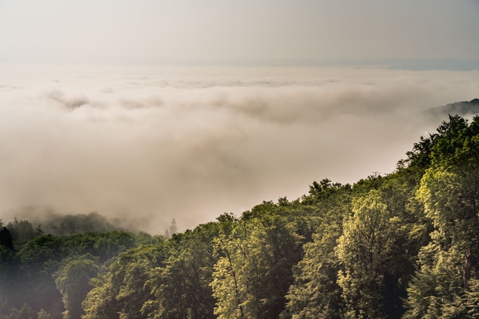 Blick zur Löwenburg - theoretisch