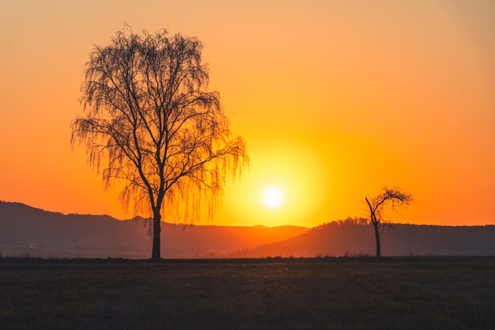 Abendlicher Blick Richtung Dörnberg im Saharalicht des späten Februars 2021